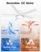 EasyNice 52 Inch White Flush Mount Ceiling Fan with Light and Remote