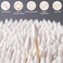 Eyxformula 1900 Pcs Cotton Swabs (1000 Pcs Round Tips + 900 Pcs Precision Tips)