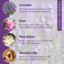 Gett Lavender & Rose Bath Bombs 2 Pack (2 X 60G), Natural Bath Bombs