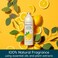 Grove Co. Foaming Hand Soap Refills, Lemon & Eucalyptus, 2 X 12 Oz
