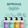 Mrs. MEYER'S Clean Day Spring Hand Soap Set, 12.5 Fl Oz, 4 Pack