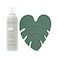 EcoTools Brush Cleaner Mat + Deep Clean Shampoo Bundle, 2 Piece Set
