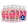 Softsoap Liquid Hand Soap, Watermelon and Mint Scent, 332 Ml (6 Pack)