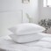 King Size Bed Pillows 2 Pack - Luxury Soft Inserts for Comfortable Sleeping