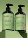 Mielle Rosemary Mint - Biotin Infused - Encourages Growth Hair Products For Stronger And Healthier Hair - Scalp &amp; Hair Oil - Shampoo &amp; New Conditioner Styling Bundle Set 3 PCS L*W*H= 15*6*16cm