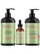 Mielle Rosemary Mint - Biotin Infused - Encourages Growth Hair Products For Stronger And Healthier Hair - Scalp &amp; Hair Oil - Shampoo &amp; New Conditioner Styling Bundle Set 3 PCS L*W*H= 15*6*16cm