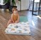 Tin&eacute;o 3-in-1 Jungle Buddies Smart Play Mat &ndash; Multifunctional Foldable Baby Play Mat, Extra Bed &amp; Pouf, Waterproof, Removable &amp; Washable Cover, Made in France
