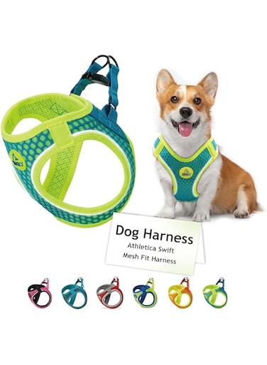Doco DCA308L Athletica Quick Fit V Mesh Dog Harness, Large, Blue