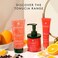 Rene Furterer Tonucia Natural Filler Shampoo, 200ml, Helps To Replump &amp; Redensify The Hair Fiber, For Thin, Rough, Dry &amp; Brittle Hair