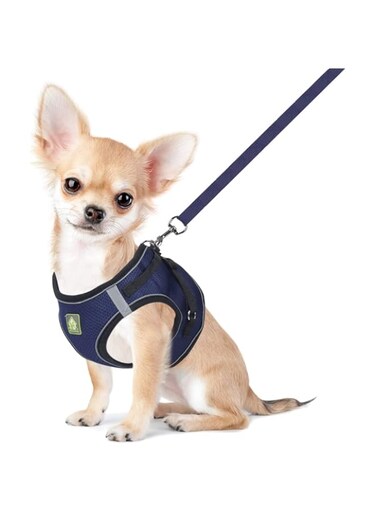 FEimaX Dog Harness and Leash Set, No Pull Breathable Soft Mesh Puppy Vest Harness Reflective Adjustable Pet Harnesses for Small Medium Dogs and Cats - Outdoor Easy Control for Walking