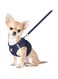 FEimaX Dog Harness and Leash Set, No Pull Breathable Soft Mesh Puppy Vest Harness Reflective Adjustable Pet Harnesses for Small Medium Dogs and Cats - Outdoor Easy Control for Walking