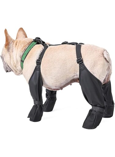 Luqeeg Dog Boots Leggings, Waterproof Dog Boots Anti Slip Dog Shoes, Adjustable Waterproof Dog Shoes Dog Boots with Leggings Adjustable Fit From Hot, Cold, Wet Weather (M)