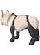 Luqeeg Dog Boots Leggings, Waterproof Dog Boots Anti Slip Dog Shoes, Adjustable Waterproof Dog Shoes Dog Boots with Leggings Adjustable Fit From Hot, Cold, Wet Weather (M)