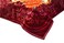 STARLIFE Double Ply Premium Quality Blanket 100% Polyester SPUN YARN Obtained From Virgin Polyester Suitable For Winter And Rainy Season 12 LB, SL-BL4404