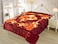 STARLIFE Double Ply Premium Quality Blanket 100% Polyester SPUN YARN Obtained From Virgin Polyester Suitable For Winter And Rainy Season 12 LB, SL-BL4404