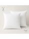 auraa Essential 2-Piece Cushion Fillers 45x45 - Fluffy and Durable with Polyster Outer Fabric &acirc;&euro;&ldquo; Ideal for Living Room &amp; Bedroom Styling