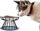 ELECDON Pet Feeding Dish with Stand, ELECDON Ceramic Cat Bowl, Raised Puppy Kitten Food Dispenser Pet Animal Food Feeding Bowl with Stand for Home (Black)