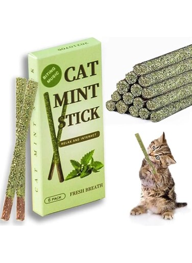 6 Sticks/box Cat Chews Products All Natural Catnip Sticks Wood Tengo Molar Sticks Teeth Cleaning Cat Sticks for Cats of All Ages