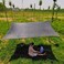 ZKORN Shade Net, Sun Shade Sail, Greenhouse Covers Sunblock Shade Cloth Net Mesh Tarp 80% Sun Shade Sail, Protection Sun Shade Netting, For Outdoor Facility, Waterproof(Size: 2X4M/6.56X13.12ft)