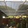ZKORN Shade Net, Sun Shade Sail, Greenhouse Covers Sunblock Shade Cloth Net Mesh Tarp 80% Sun Shade Sail, Protection Sun Shade Netting, For Outdoor Facility, Waterproof(Size: 4X4M/13.12X13.12ft)