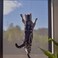 ACBAGI Window Screen Mesh Insect Mesh Screen Fly Mesh Roll Fly Mosquito Net Window Net Fly Screens Fiberglass Screen Mesh For Windows And Door (122X252cmx2Pcs, Grey)