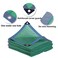 ZWYSL Sunblock Shade Cloth Net Greenhouse Garden Shade Cover Plant Shades From Sun, With Grommets, For Garden, Patio, Porch Zwysl (Color : Green, Size : 3X6m)