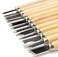 Generic 12 Pcs Carbon Steel Wood Carving Chisel Set For Kids And Beginners. Knives For Woodworking And Engraving. Equipped With Easy To Use Wood Handles.