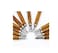 Generic 12 Set Carbon Steel Wood Carving Tools Knife Kit