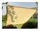 YSHCA Shade Fabric, 85% Shading Rate Shade Cloth, Polyethylene Heavy Duty Shade Sails Sunblock Net For Garden Cover Flowers Plants Patio,Beige_9X15Ft/3X5M
