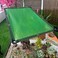 ZWYSL Shade Netting Sunblock 90% Shading Rate Greenhouse Shading Net With Grommet UV Resistant Shade Cloth Net For Outdoor Garden Flower Plant Zwysl (Color : Green, Size : 2X2m)