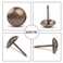 BronaGrand 100 Pieces Upholstery Nails Furniture Tacks Finish Tack Pins (Brass)