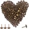 BronaGrand 100 Pieces Upholstery Nails Furniture Tacks Finish Tack Pins (Brass)