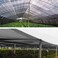 WZDD Sunblock Shade Cloth Net 2X4M, Black Sun Shade Mesh, Heavy Duty Shade Mesh Tarp With Grommets, UV Resistant Net For Plant Cover, Greenhouse, Flowers, Plants