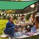 YQZZX Shading Net Sun Shade Sail Garden Courtyard Sun Awning Sunshade UV Protection Outdoor Shade Net, Various Sizes (Color : Green, Size : 2X2m)