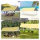 Generic Joochoo Outdoor Sun Shade, Rectangular Patio Sails, Garden Canopy Cover, Anti-Uv Sun Protection Water-Proof, With Two Free Removable Shade Sail Poles, 3M*3M. (Brownish Yellow)