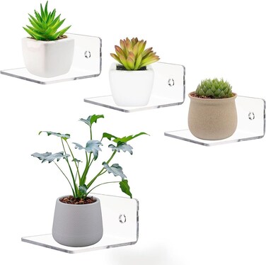 BIGIMALL 4 pcs Mini Floating Wall Shelves - Clear Acrylic Display Shelves for Plants and Decor