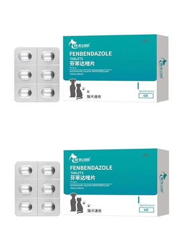 Worm Treatment for Cats, Worm Treatment for Dogs, General Purpose 12 Capsules Pet Insect Repellent Tablets, For Internal Worm Treatment in Dogs and Cats (2 pc)
