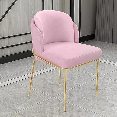 Wooden Twist Voguish Modern Cafe Dining Chair Metal Legs