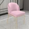 Wooden Twist Voguish Modern Cafe Dining Chair Metal Legs