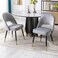 Wooden Twist Modern Stylish Loop Backrest Velvet Upholstery Cafe Dining Chairs with Metal Legs (Set of 2)