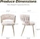 Wooden Twist Woven Carved Backrest Velvet Upholstery and Metal Legs Elegant Seating Dining Chair for Cafe, Restaurant, and Home