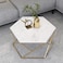 
Wooden Twist Vortexa Hexagon Design Coffee Table with Marble-Like Finish Top Modern &amp; Elegant Nesting Table (Set of 2)
