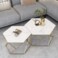 
Wooden Twist Vortexa Hexagon Design Coffee Table with Marble-Like Finish Top Modern &amp; Elegant Nesting Table (Set of 2)