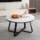 
Wooden Twist Robust Stylish Metal Base Marble Finish Laminated Top Coffee Table ( Black &amp; White )