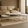 Wooden Twist Vibing Modern Stylish Nesting Coffee Table with Metal Base Marble Top (White &amp; Silver, Set of 3)
