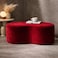 Wooden Twist Red Wnzzy Stylish Soft Velvet Upholstery Entryway Shoe Changing Stool Bench Ottoman - Red
