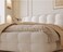 Wooden Twist Elegance Modernize Boucle Upholstery Bed for Luxury Bedroom Contemporary, Stylish, and Elegant - Super King (200 x 200 cm) / Beige