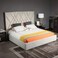 Wooden Twist Eldora Modern Glam Velvet Upholstery Brushed Brass Rectangular King Size Bed - Beige