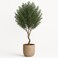 180cm Luxury Artificial Olive Plant with Natural Textured Trunk - Premium Indoor Decor