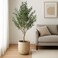 220cm Luxury Artificial Olive Plant with Natural Textured Trunk - Premium Indoor Decor